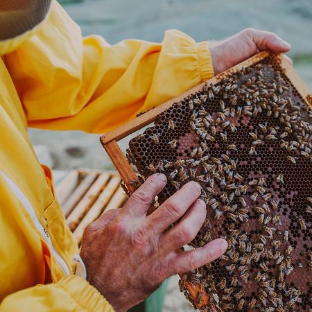 Agriturismo Biologico Diacceroni Villamagna  Екстериор снимка