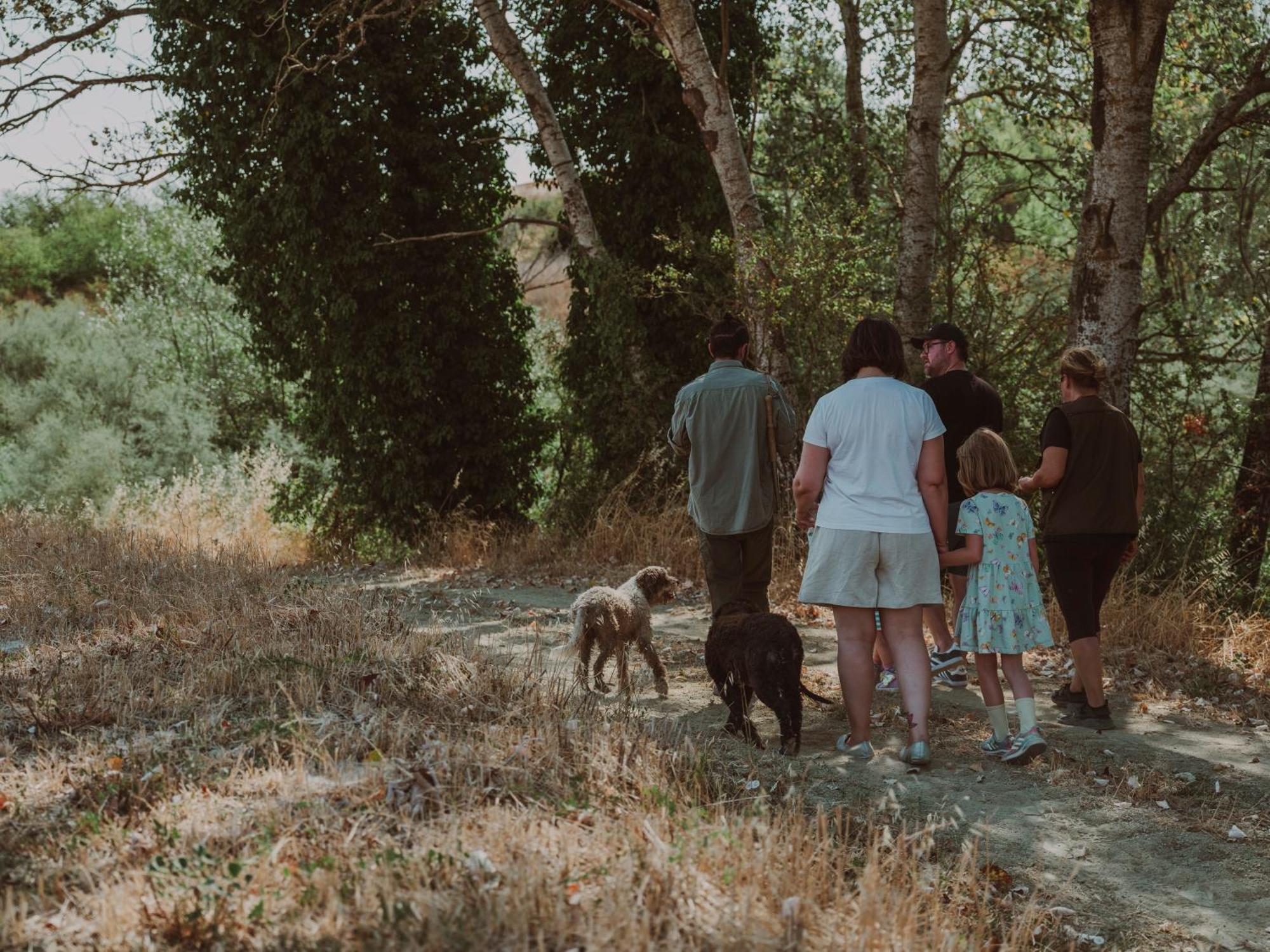 Agriturismo Biologico Diacceroni Villamagna  Екстериор снимка
