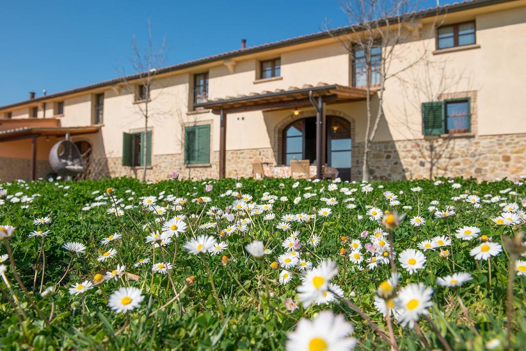 Agriturismo Biologico Diacceroni Villamagna  Екстериор снимка
